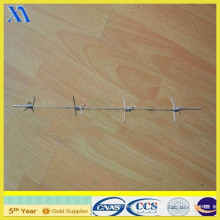 Galvanized Single Strand Barbed Wire (XA-BW014)
